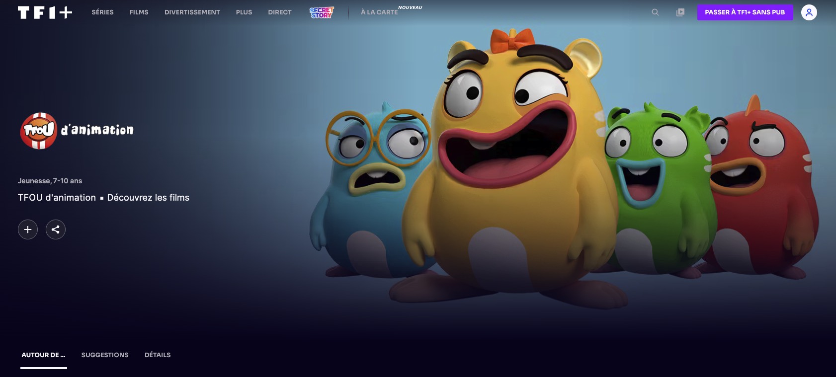 Tf1 interface fr