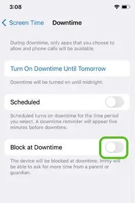 Setting Downtime on iPhone