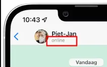 whatsapp online