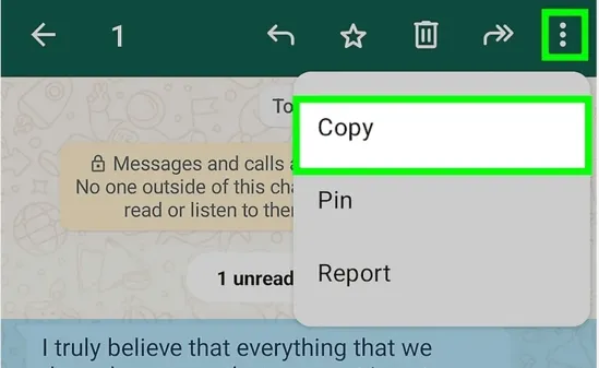 copy whatsapp messages phone